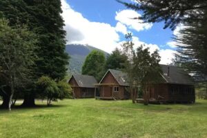Bosque Patagonico Cabañas y Camping