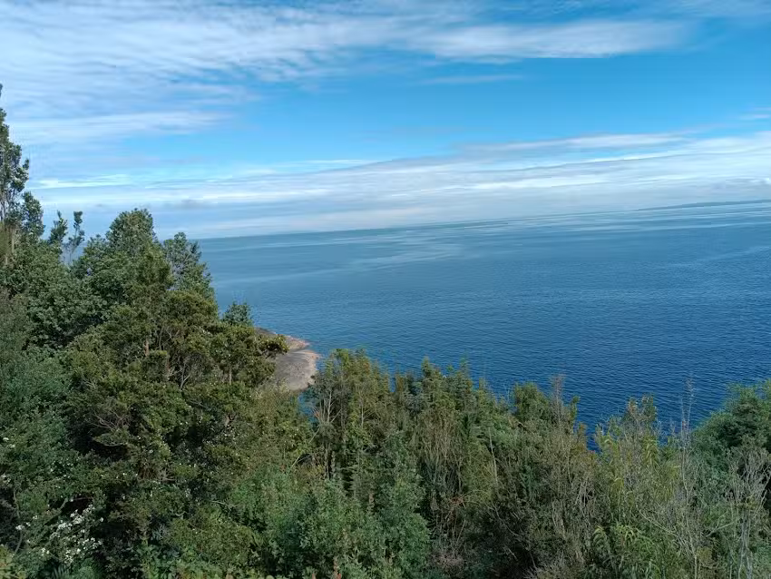 Cabaña Chamiza