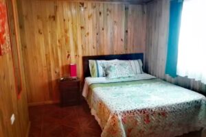 Cabañas Antiquitral Sur