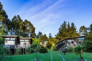 Cabañas Bosques de Puertecillo