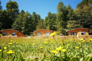 Cabañas Deumayen