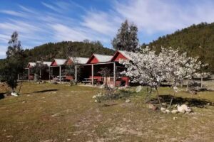 Cabañas Los Naranjos
