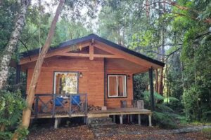 Cabañas Parque Michimahuida