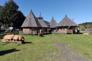 Cabañas Patagonia Mawida