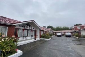 Cabañas Pudú