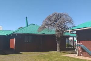 Cabañas Techos Verdes