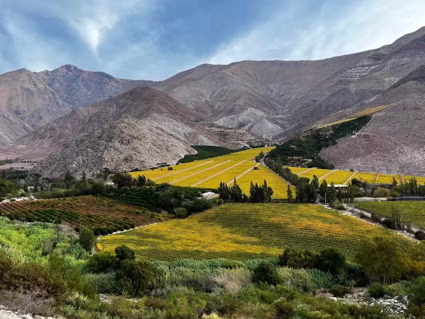 Cabra del Valle