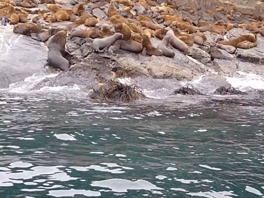Caleta Chañaral de Aceituno