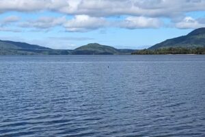Camping Lago Huillinco