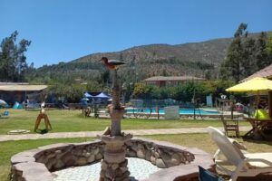 Camping los olivos de altovalsol