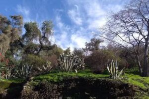 Cerro Blanco