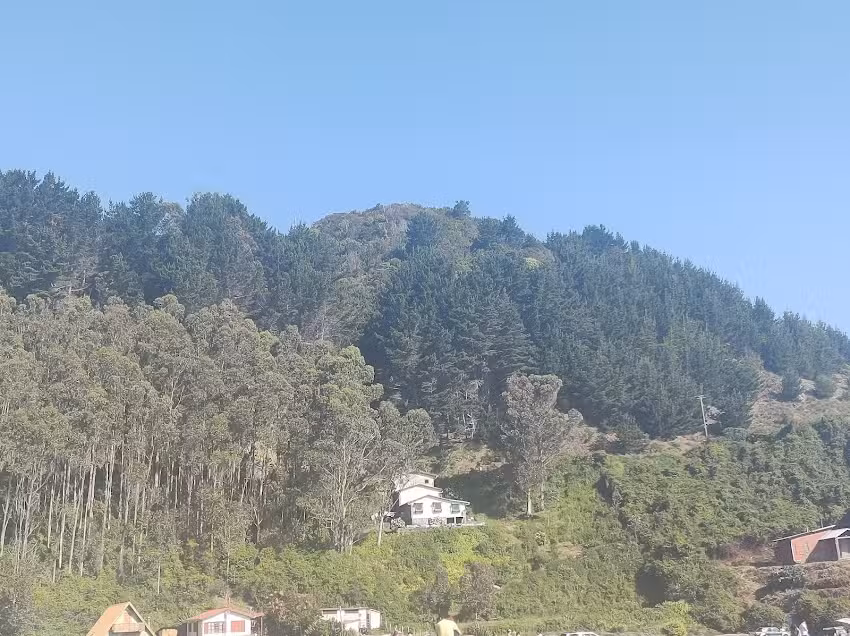 Cocineria y Cabañas Kenita