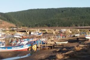 Complejo Turistico y Gastronomico Leufu Sur
