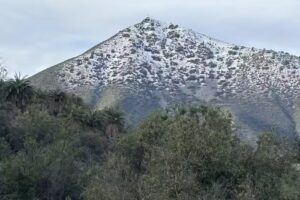 El Manzano Las Palmas