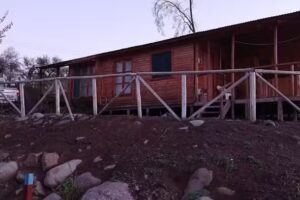 El rebaño de Elsita