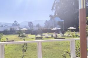 Foresta de zapallar loteos