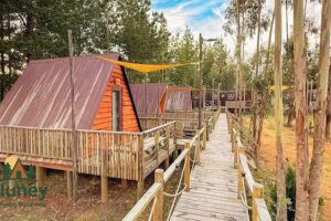 GLAMPING ELUNEY BUCALEMU