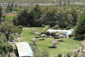 Hijuela Los Olivos,