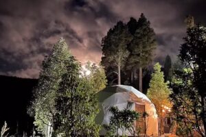 Lodge Los Alerces