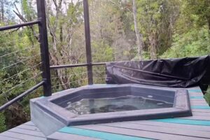 Lophosoria Eco Lodge · Tinajas Calientes y Senderos en la Selva Valdiviana