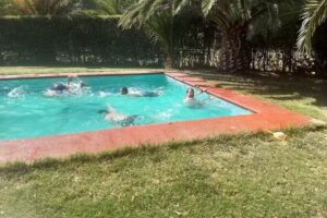 Parcela Gaetes