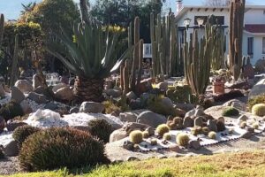 Plaza Punta De Torrejón