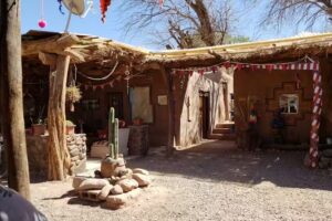 Raíces de Atacama