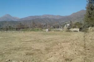 Residencial Alfonso